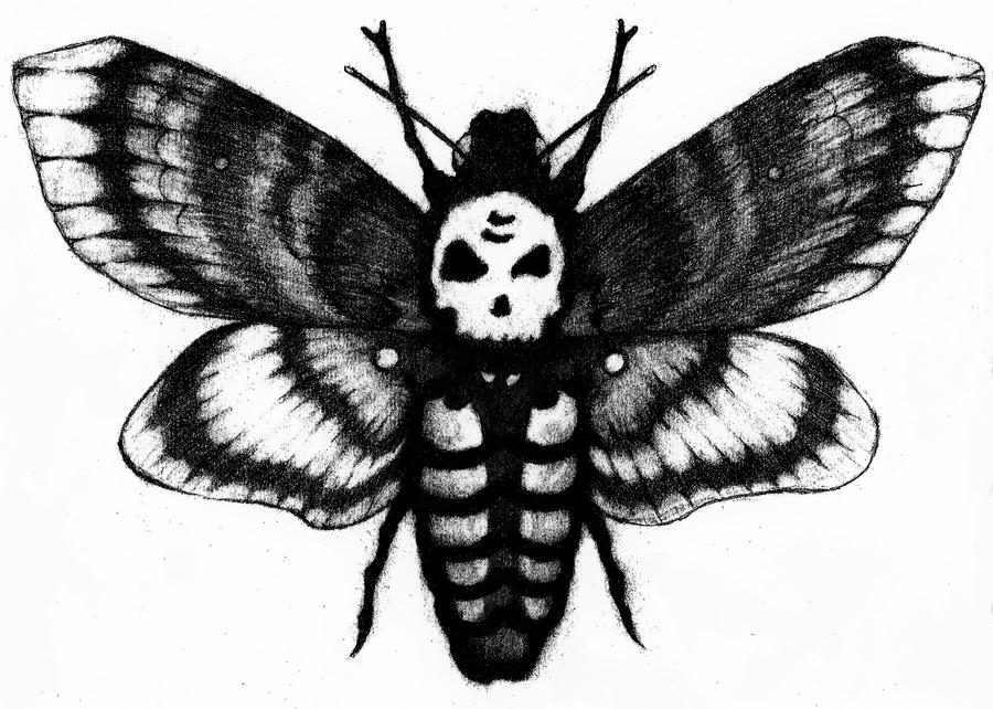 DeathHead Moth by ChristianJacobo on DeviantArt