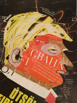 Trump,2017,collage