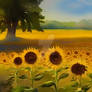 Sunflower Field 4.1