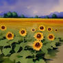 Sunflower Field 3.2