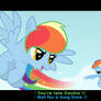 Rainbow - Bearer VS Dash