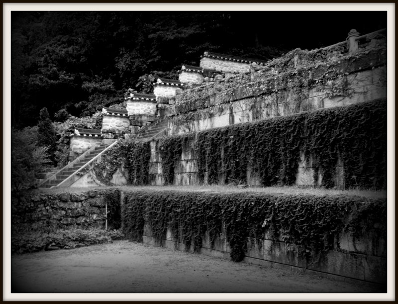 Courtyard Wall