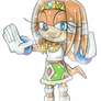 Tikal The Echidna Crystallized