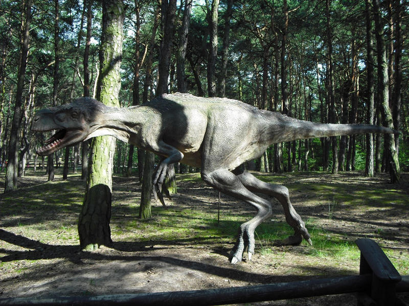 Eotyrannus