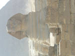 Sphinx by omg-stock