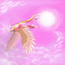 Pink Clouds :Pidgeot: