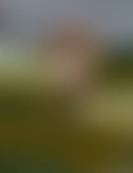 Zombie Girl Comic cover test 2