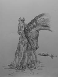 Norse horse