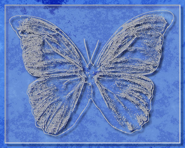 Etched butterly