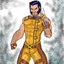 Wolverine (costume redesign)