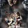 Breaking Dawn