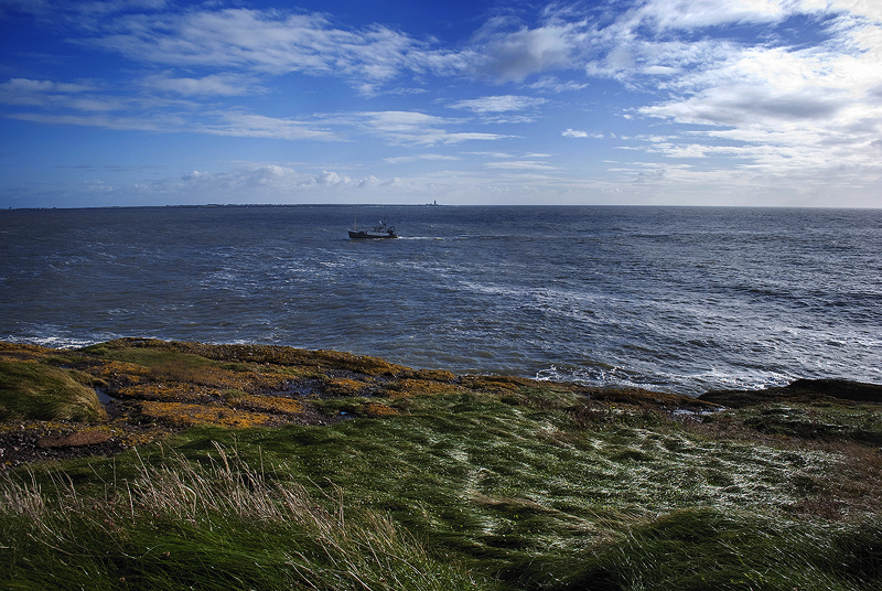 Colors of Ireland