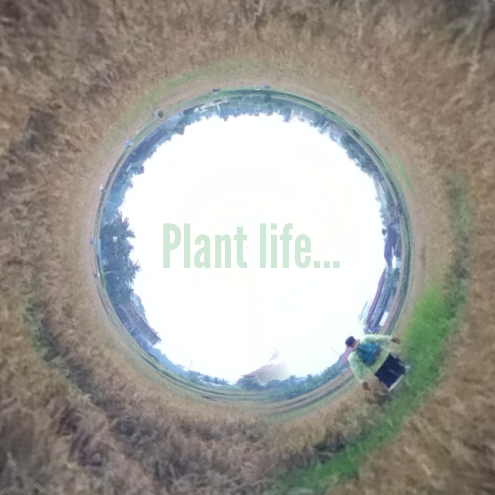 Plant Life