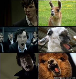 Sherlock Expressions