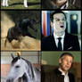 BBC Sherlock: Horse Edition