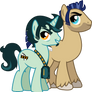 MLP friends OCs