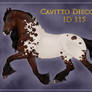 Cavitto Discovery ID 115