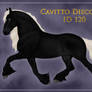 Cavitto Custom Discovery ID 120