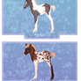 CW | Hypo Foals | Azibo