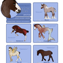 SA | Hypo Foals | Brutus