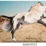 Manifest
