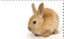 Bunny Love Stamp