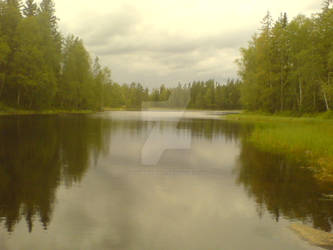 Forest lake