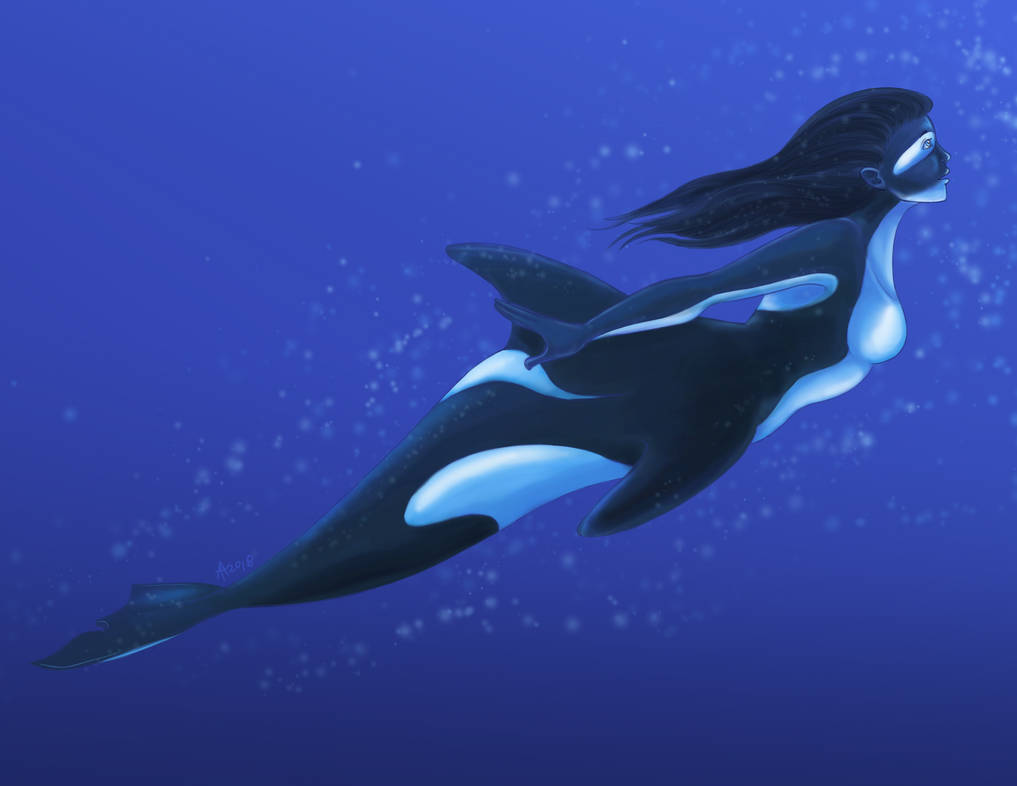MerMay 12: Orca by Axalas on DeviantArt