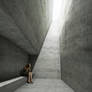 Contemplation