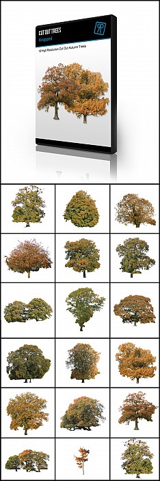 Cut out trees - autumn pack