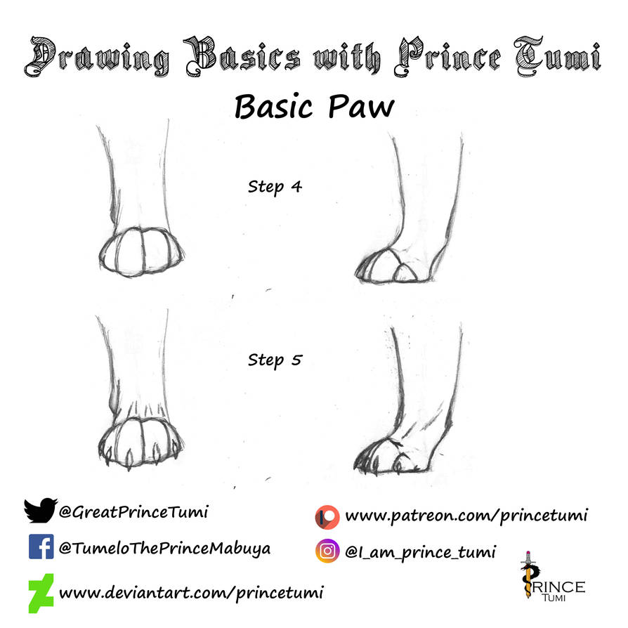 Basic Paw step 4-5 by PrinceTumi on DeviantArt