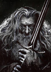 Gandalf the Grey