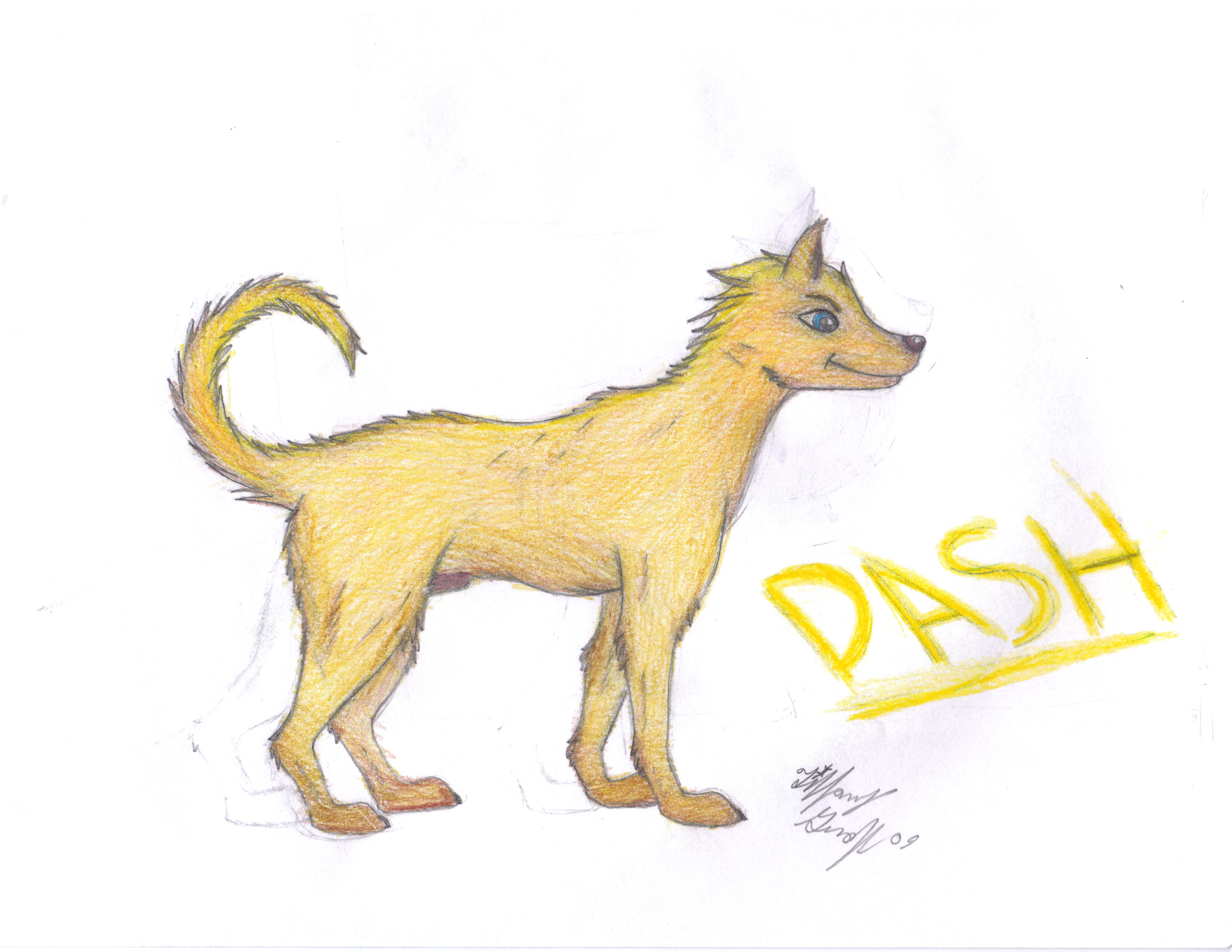 Dash the dog- colored