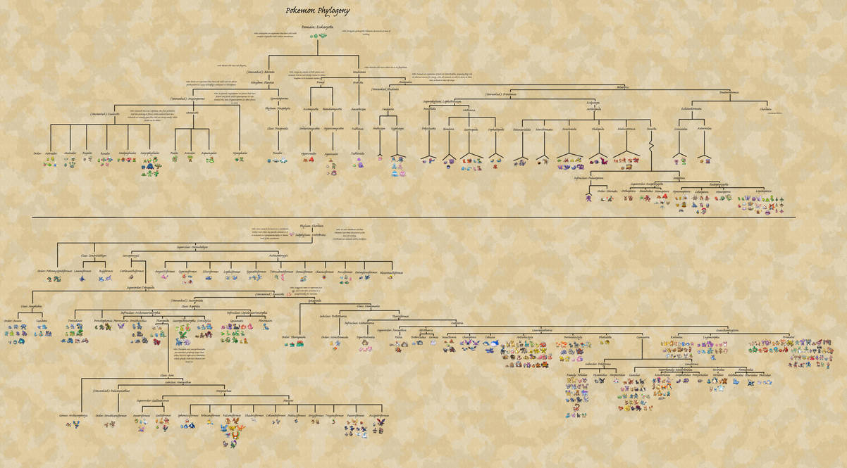 Complete Pokemon Phylogeny by KFblade on DeviantArt