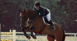 New Heights by Equus-Photography