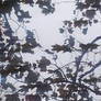 00000img 00000 Burst20230609170318 Cover