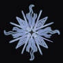 5 elements neon