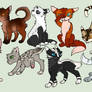 WC Adopts | (OPEN)