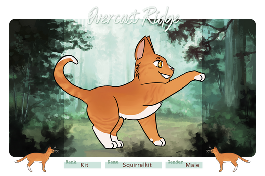 Squirrelkit | Overcast-Ridge Application