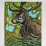 Red Deer Stag