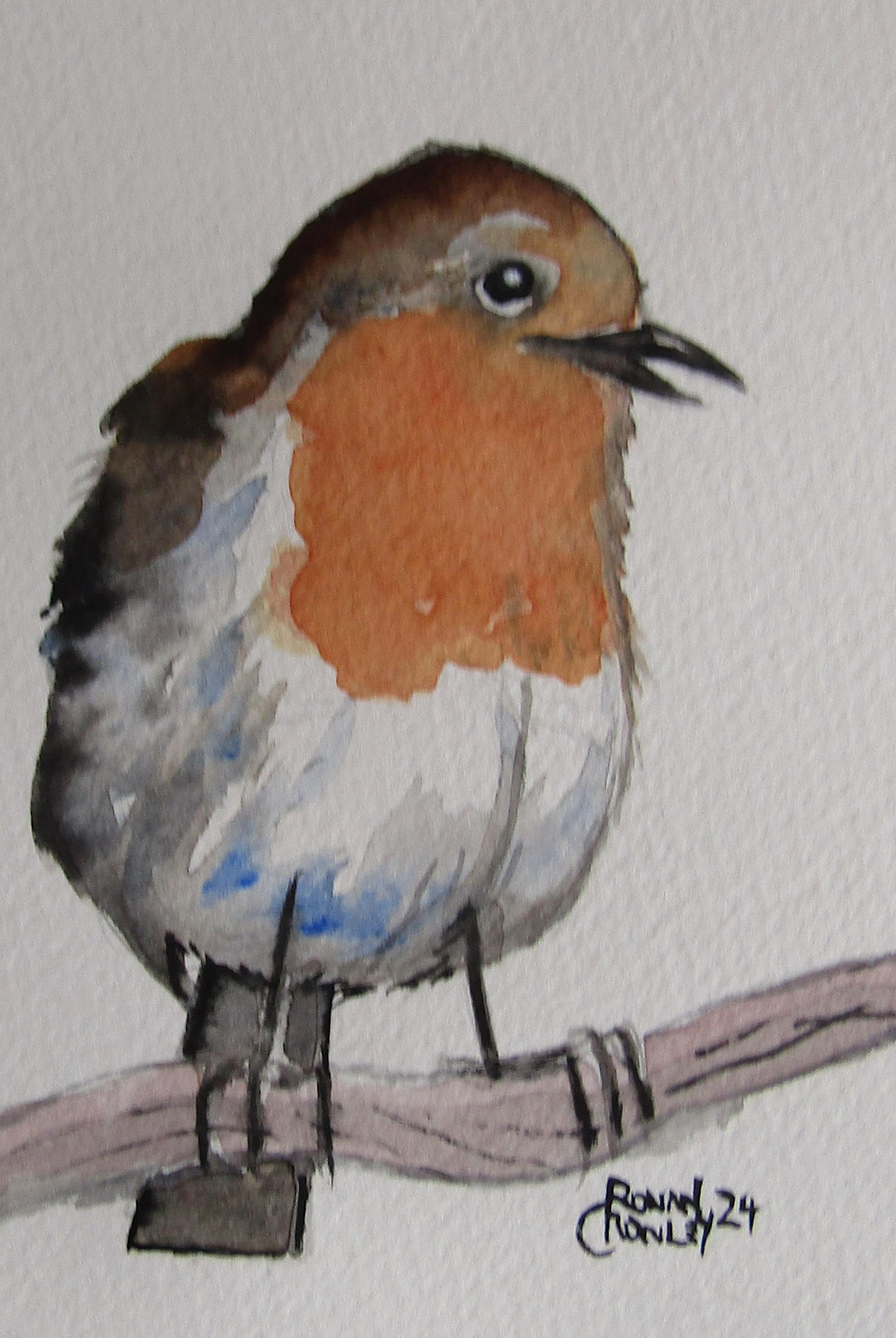 Robin Sw Robin by crowleyronan on DeviantArt