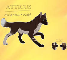 Atticus custom