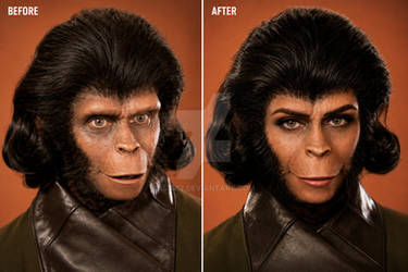 Zira Makeover Before and After