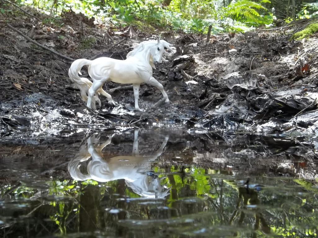 Phantom By The Pond