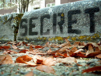 Secret