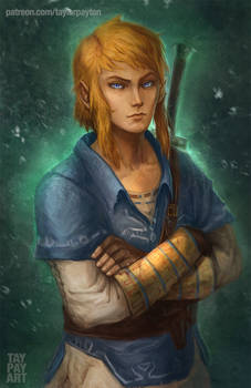 Link - Breath Of The Wild