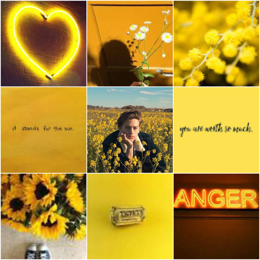 Yellow Aesthetic by Charisma-Malfoy on DeviantArt