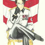 APH: Anschluss