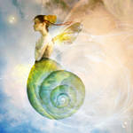 when snails fly by JenaDellaGrottaglia