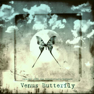 Venus Butterfly